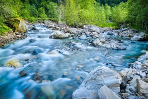 Die reine Natur findet sich in den ausgedehnten Wäldern und den Gewässern wieder. (#1)