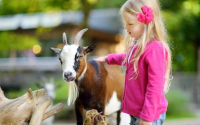 Ein Besuch in Worms, Rheinböllen oder Kaiserslautern lohnt sich, besonders wenn du einen Tierpark besuchen möchtest und kein Tierkostüm tragen willst. (Foto: AdobeStock - MNStudio 194182270)