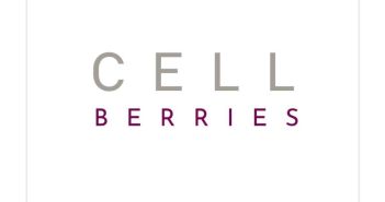 Modulares Clean Skincare System bekämpft Feuchtigkeitsmangel und oxidativen (Foto: CELLBERRIES Iris Kuhn)